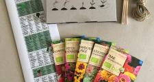 Beet-Box für einen Blumengruß Samen-Set
